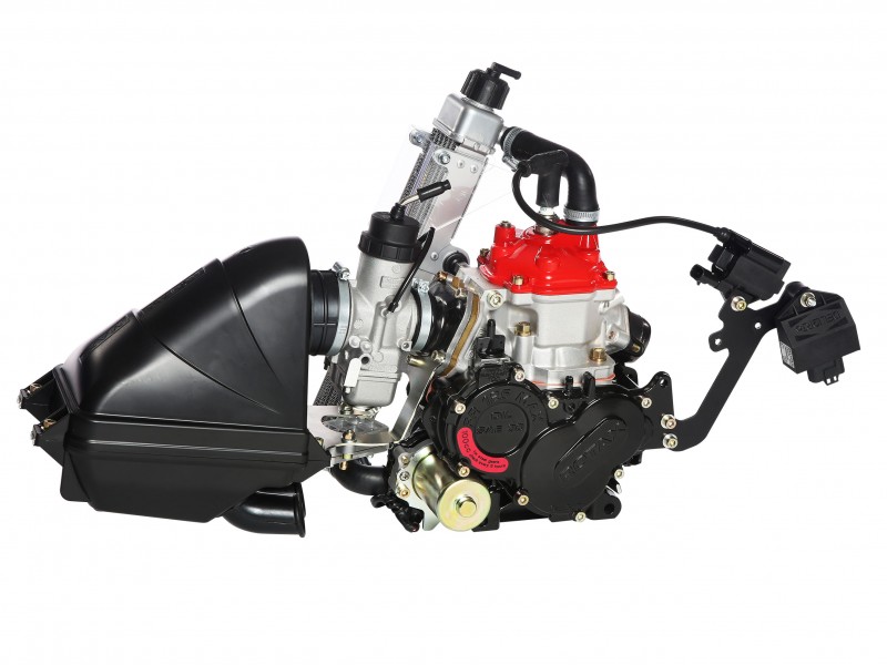 Petrol Fuel Filter Rotax Go Kart Engine High Quality 80 micron GY6 Walbro Zama 